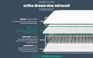 Silentnight Ortho Dream Star Miracoil Mattress